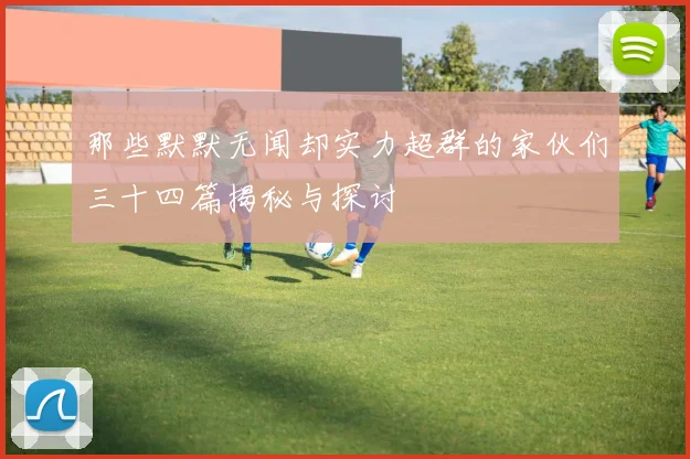 那些默默无闻却实力超群的家伙们三十四篇揭秘与探讨